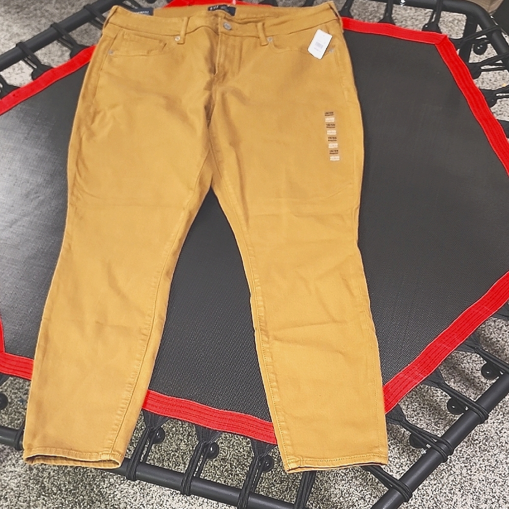 Womans Gap Jeans Size 16 Nwt Box#8